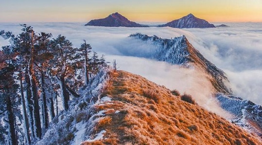 青川旅游
