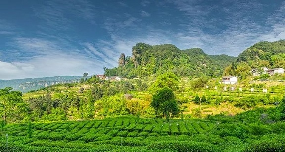 荣县旅游