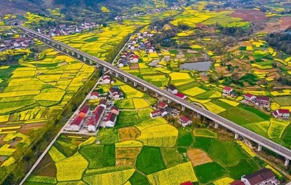 罗平油菜花景区