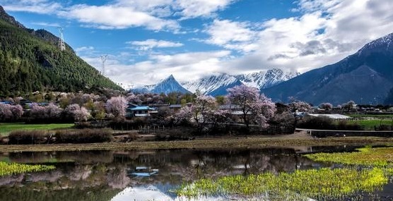 林芝旅游景点大全