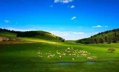 呼伦贝尔旅游景点攻略