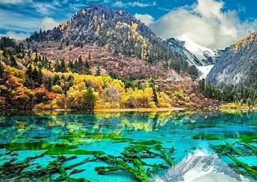 成都九寨沟旅游攻略