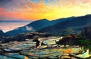 广西和云南旅游哪个好