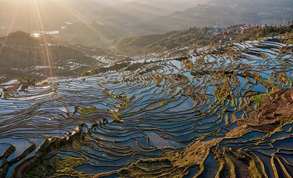 云南元阳梯田最佳旅游时间