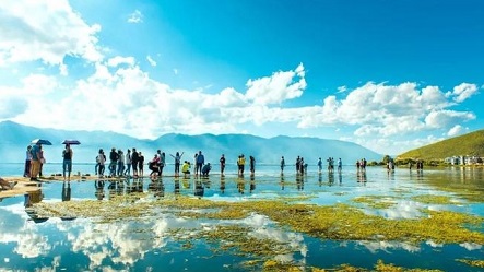 去云南旅游去哪些地方