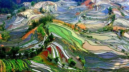 郑州到云南旅游