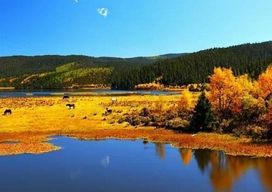 去云南旅游要注意什么