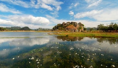 保定到云南旅游团