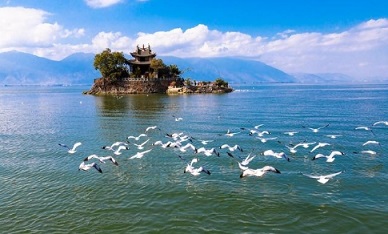 包头云南旅游跟团报价