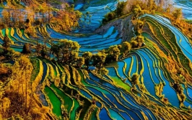 桂林丽江旅游