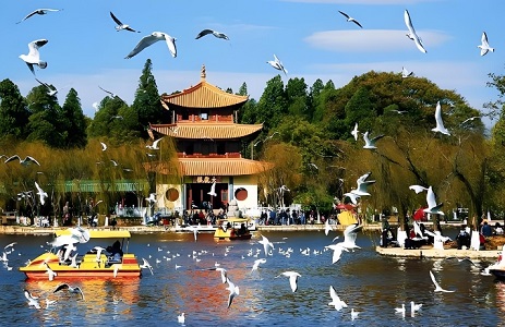 昆明市区旅游