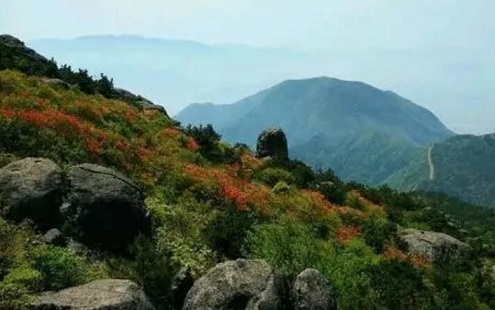 括苍山旅游攻略自驾游