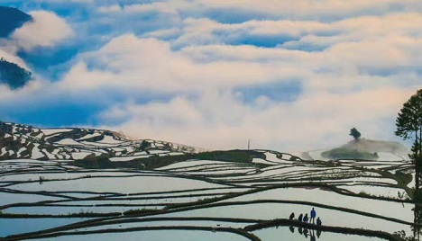 元阳梯田景区