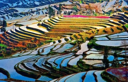元阳梯田最佳旅游时间