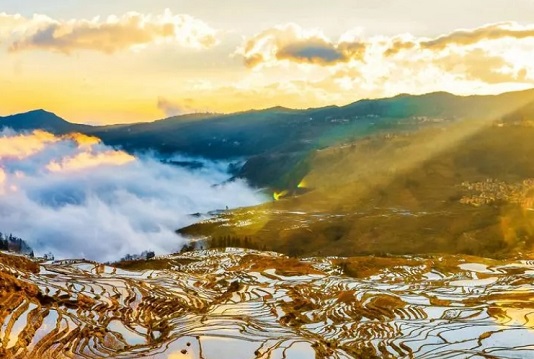 红河元阳梯田