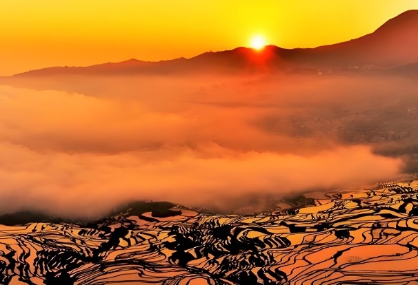 元阳梯田介绍